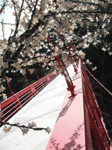 DSCF4033.JPG