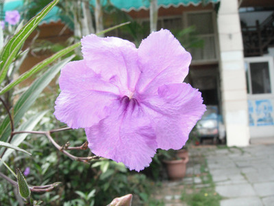 DSCF4059.JPG