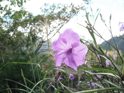 DSCF4060.JPG