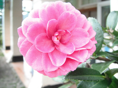DSCF4064.JPG