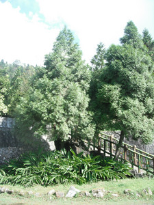 DSCF4068.JPG