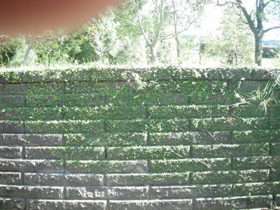 DSCF4070.JPG