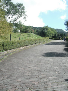 DSCF4071.JPG