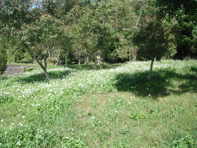 DSCF4073.JPG