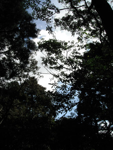 DSCF4084.JPG