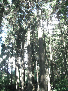 DSCF4092.JPG