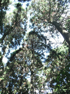 DSCF4093.JPG