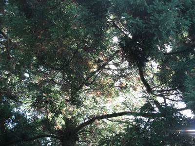 DSCF4094.JPG