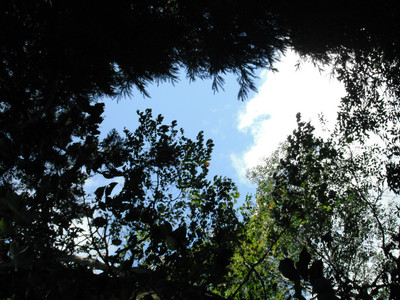 DSCF4095.JPG
