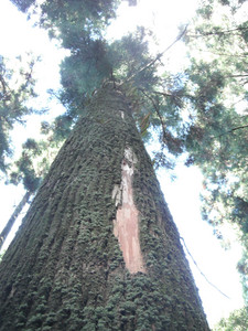 DSCF4096.JPG