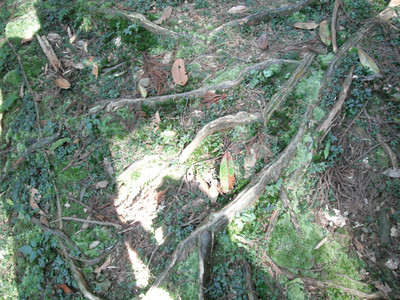 DSCF4098.JPG