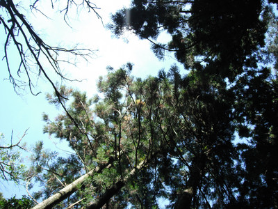DSCF4099.JPG