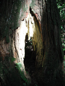 DSCF4106.JPG