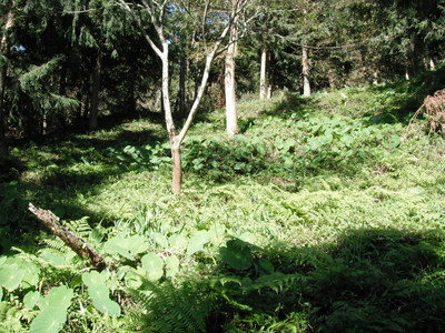 DSCF4110.JPG