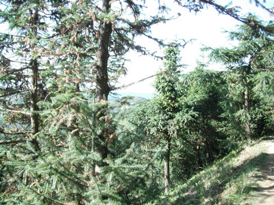 DSCF4112.JPG