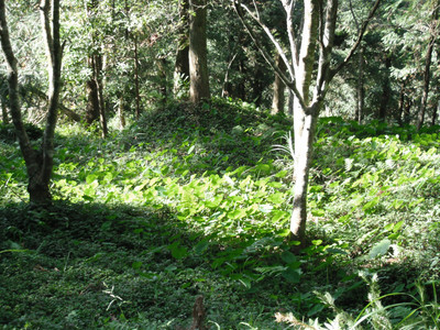 DSCF4114.JPG