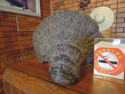 DSCN0101.JPG