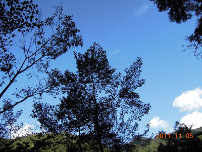 DSCN0116.JPG