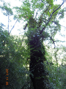 DSCN0122.JPG