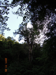 DSCN0132.JPG