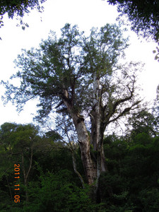 DSCN0134.JPG