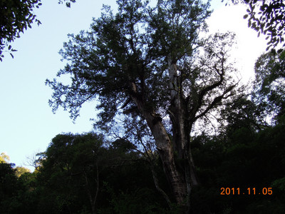 DSCN0135.JPG