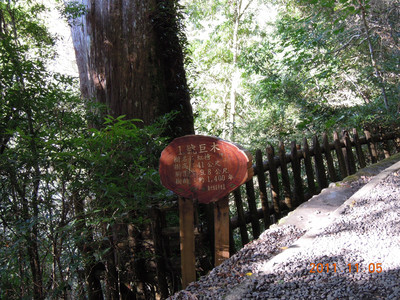 DSCN0141.JPG