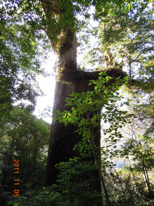 DSCN0142.JPG