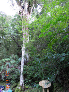 DSCN0146.JPG