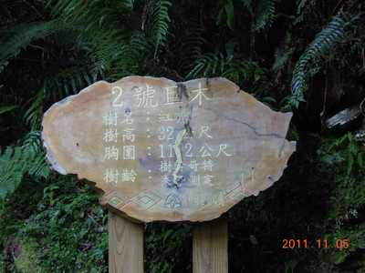 DSCN0147.JPG