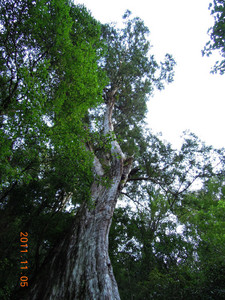 DSCN0148.JPG