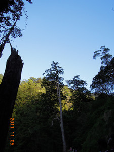 DSCN0150.JPG