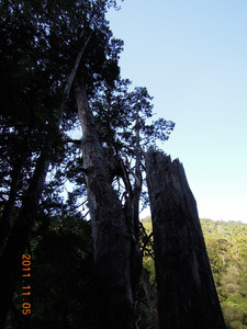 DSCN0151.JPG