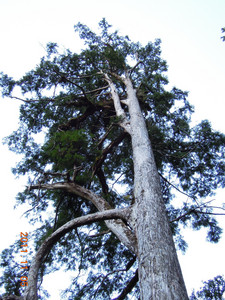 DSCN0154.JPG