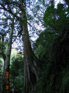 DSCN0155.JPG