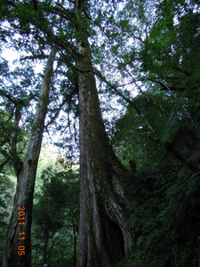 DSCN0157.JPG