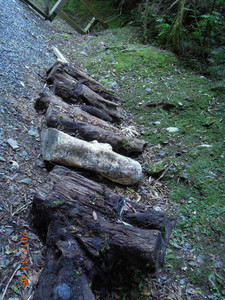 DSCN0160.JPG