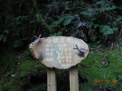 DSCN0161.JPG