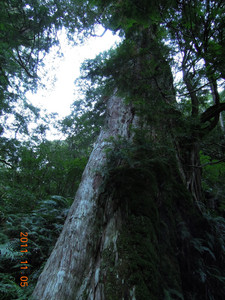 DSCN0162.JPG
