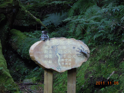 DSCN0163.JPG