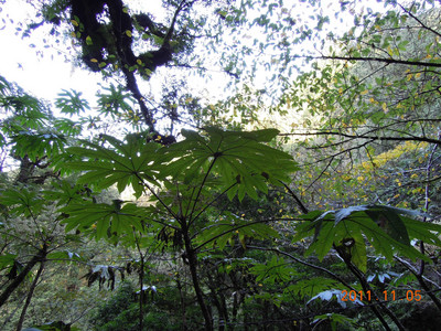DSCN0165.JPG