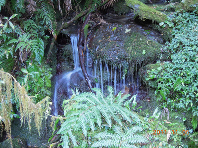 DSCN0167.JPG