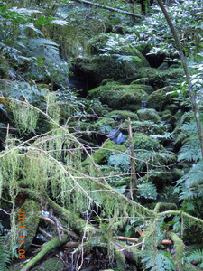 DSCN0168.JPG