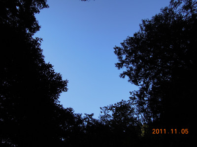DSCN0172.JPG