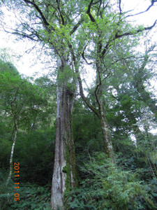 DSCN0175.JPG