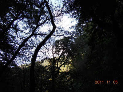 DSCN0180.JPG