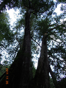DSCN0194.JPG