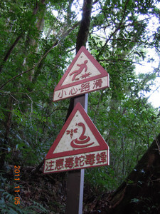 DSCN0195.JPG