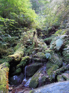 DSCN0197.JPG