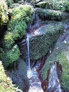 DSCN0199.JPG